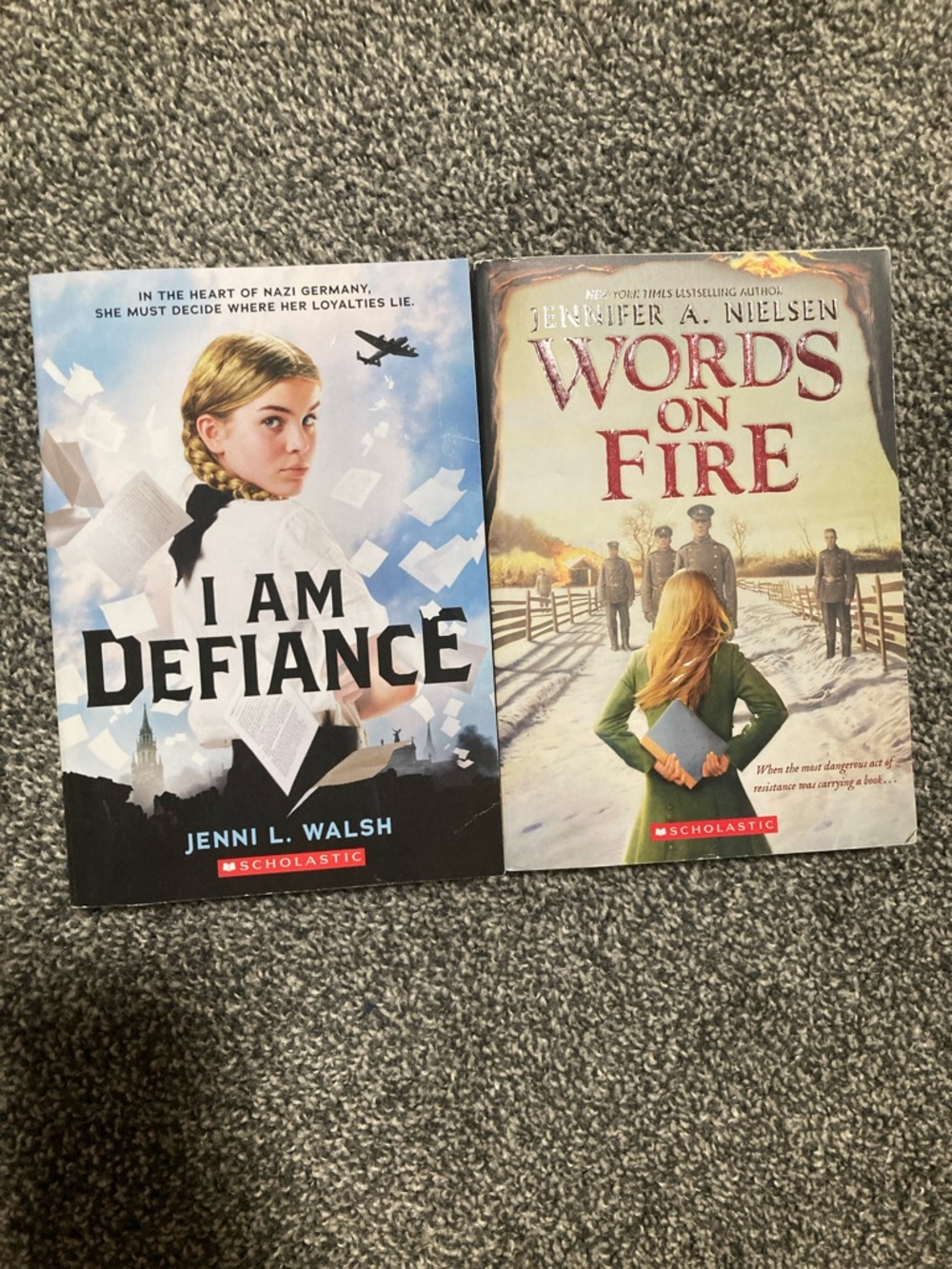 Scholastic Book Set — Blue and Tan Cover Novels